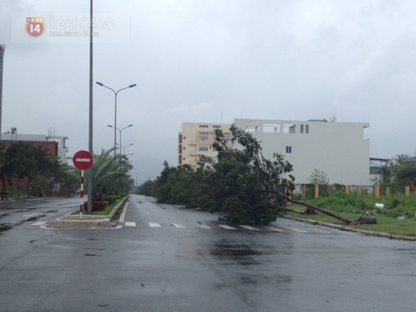 Cập nhật bão số 11: Đà Nẵng - Huế tả tơi trong tâm bão 12