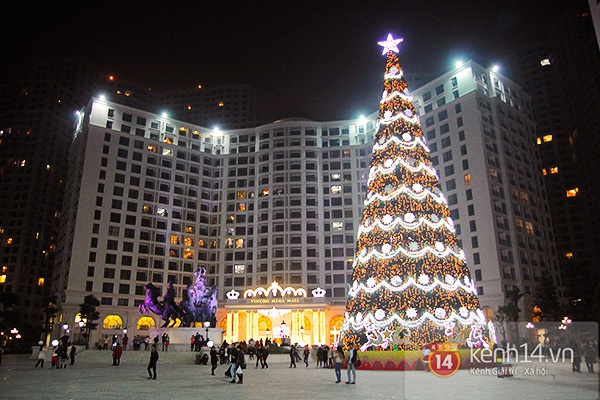 Teen Hà Thành đổ xô đi pose hình với cây thông Noel cao nhất Việt Nam 1