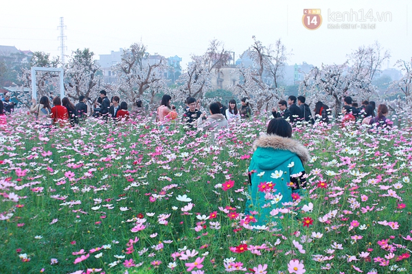 Teen Hà Thành chen chúc chụp ảnh ở vườn hoa Nhật Tân 3
