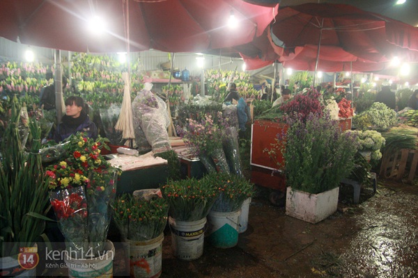 Giới trẻ Hà thành dạo chợ hoa Quảng Bá sáng cuối năm  9