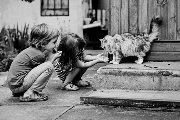 Chùm ảnh: Tình bạn dễ thương giữa trẻ em và những chú mèo cưng 16