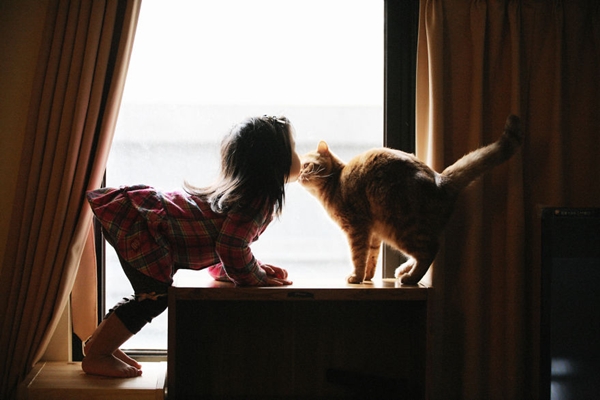 Chùm ảnh: Tình bạn dễ thương giữa trẻ em và những chú mèo cưng 19
