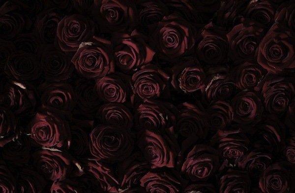 Triển lãm cái chết của 10.000 bông hồng 3