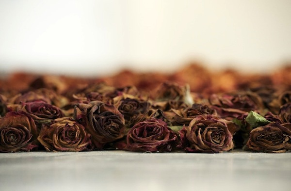 Triển lãm cái chết của 10.000 bông hồng 4
