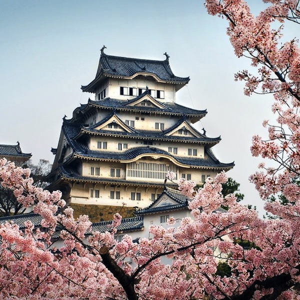 Lâu đài tuyệt đẹp có giếng nước "ma ám" ở Nhật 1