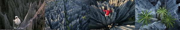 Thăm khu rừng đá khổng lồ được mệnh danh kỳ quan 12