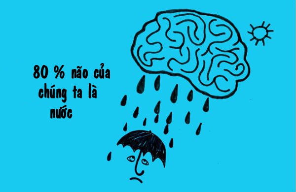B&iacute; k&iacute;p l&agrave;m sạch nước bẩn sau b&atilde;o lũ 10