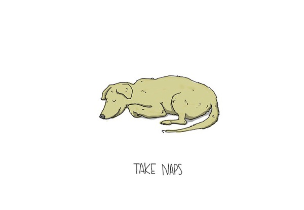 Những bài học giản dị từ loài chó trong tranh vẽ dễ thương 5