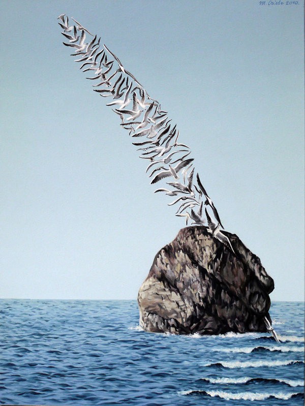 Tổng hợp vẽ con hải âu với nhiều mẫu đa dạng