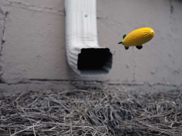 Kh&aacute;m ph&aacute; thế giới k&igrave; diệu nằm s&aacute;t mặt đất 8