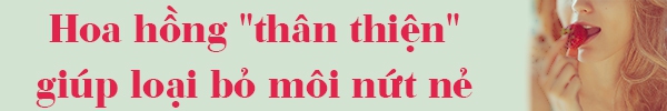 Mẹo trị dứt điểm đôi môi nứt nẻ ngày lạnh 3