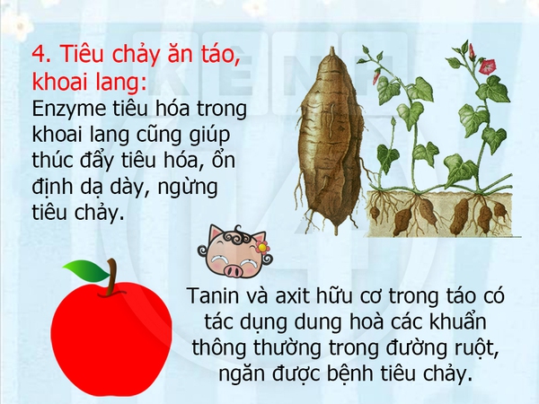 Vào nhà bếp lấy ra nguyên liệu trị bệnh "khắp nơi" 4