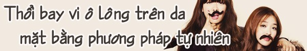Thực đơn gi&uacute;p khắc phục t&igrave;nh trạng "vi &ocirc; l&ocirc;ng" rậm rạp 3