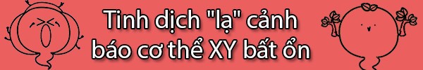 Nguy&ecirc;n nh&acirc;n ch&iacute;nh khiến tinh binh của XY suy giảm  3