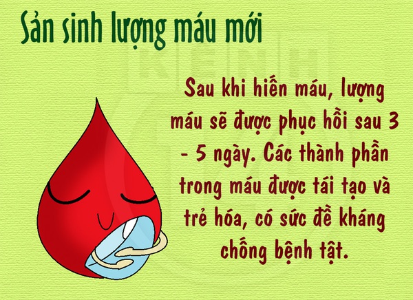 Những lợi ích "bất ngờ" khi hiến máu nhân đạo 1