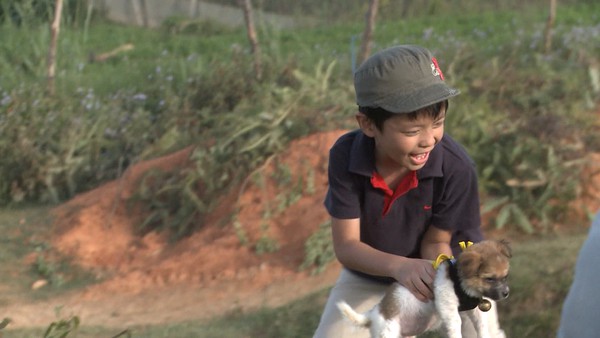 Bố ơi!: Phan Anh trở thành hội trưởng "Hội yêu chó" 1