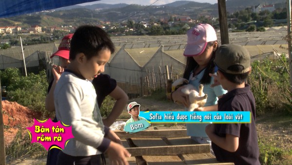 Bố ơi!: 4 nhóc tì "cãi nhau chí chóe" vì chú cún hoang 11