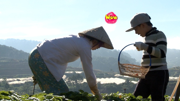 Bố ơi!: Ho&agrave;ng B&aacute;ch, Minh Khang c&atilde;i nhau nảy lửa v&igrave; đi xin tiền 8