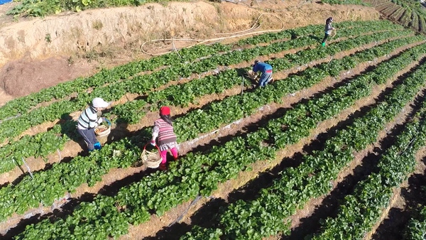 Bố ơi!: Ho&agrave;ng B&aacute;ch, Minh Khang c&atilde;i nhau nảy lửa v&igrave; đi xin tiền 9