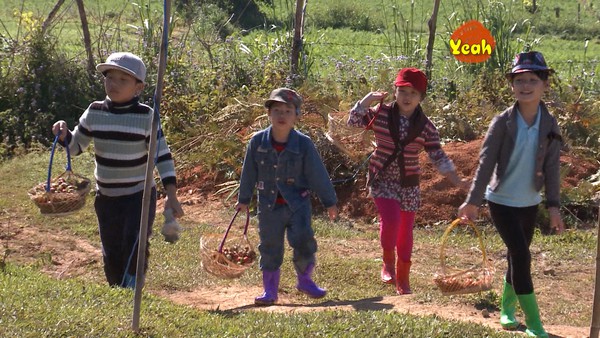 4 điểm trừ của "Bố ơi! Mình đi đâu thế?" phiên bản Việt 10