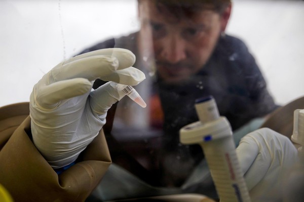 Thử nghiệm thành công vaccine phòng virus Ebola  1