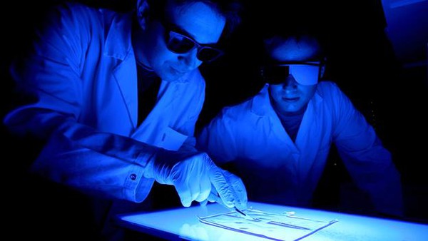 Chế tạo cơ quan nội tạng với c&ocirc;ng nghệ in 3D 1