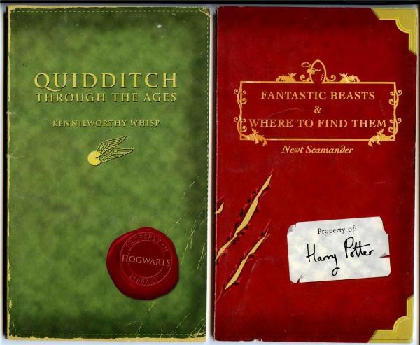 Harry Potter sẽ tiếp tục cưỡi chổi chơi Quidditch tr&ecirc;n m&agrave;n ảnh 6