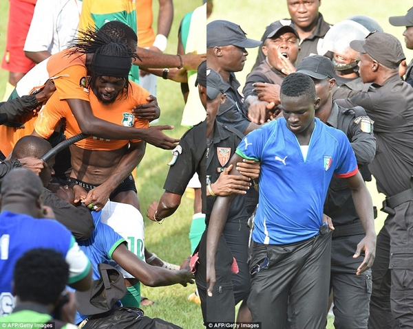 CĐV Bờ Biển Ngà "lột quần" Gervinho để mừng đội nhà đoạt vé dự CAN 2015 9