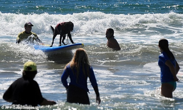 Kỳ lạ cuộc thi lướt sóng dành cho chó 15