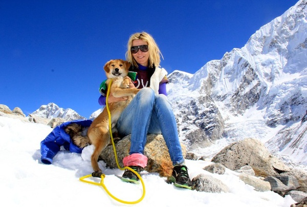 Từ chó hoang trở thành chú chó đầu tiên chinh phục đỉnh núi cao nhất thế giới 6