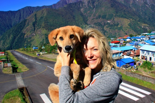 Từ chó hoang trở thành chú chó đầu tiên chinh phục đỉnh núi cao nhất thế giới 2
