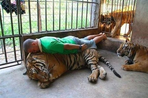 41 t&igrave;nh huống "dở kh&oacute;c dở cười" c&oacute; lẽ bạn chưa thấy ngo&agrave;i đời 7