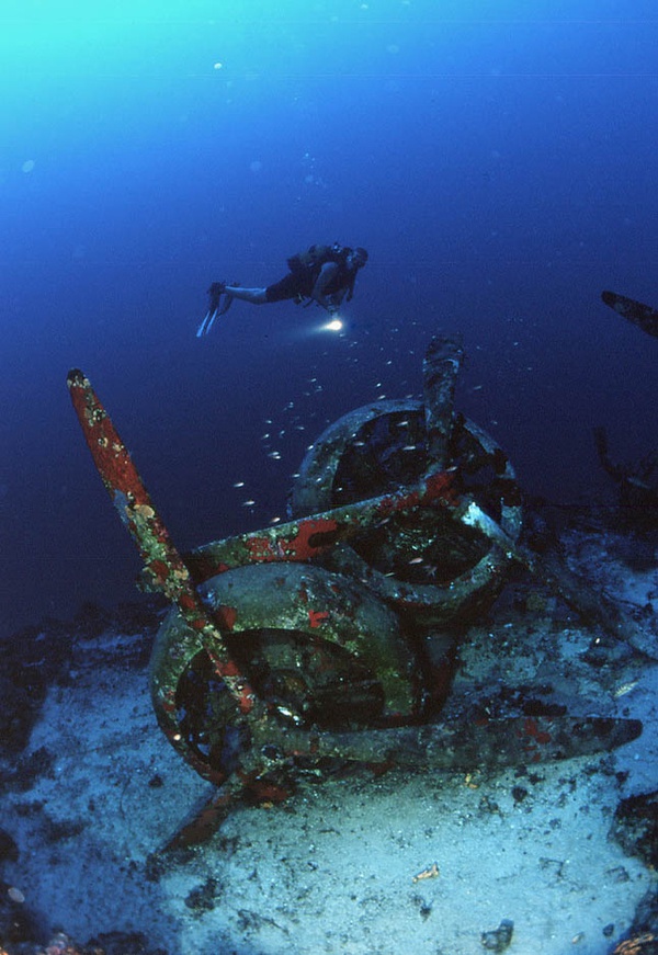 Những ngôi mộ "phi cơ đắm" tuyệt đẹp dưới lòng biển 41