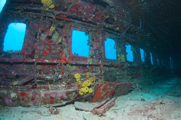 Những ngôi mộ "phi cơ đắm" tuyệt đẹp dưới lòng biển 51