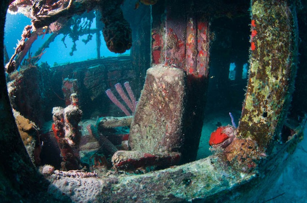 Những ngôi mộ "phi cơ đắm" tuyệt đẹp dưới lòng biển 52