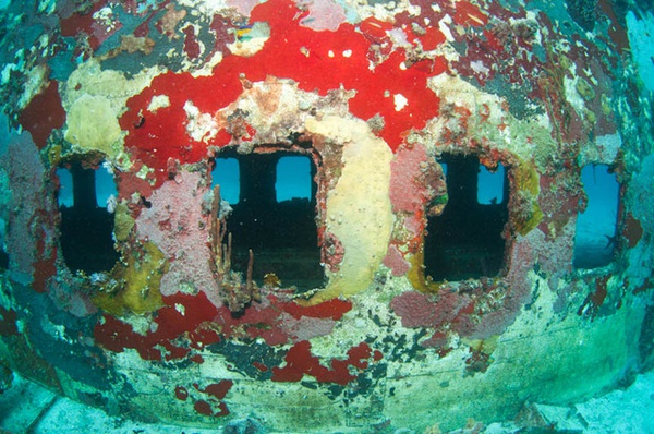Những ngôi mộ "phi cơ đắm" tuyệt đẹp dưới lòng biển 53