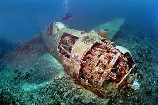 Những ngôi mộ "phi cơ đắm" tuyệt đẹp dưới lòng biển 11
