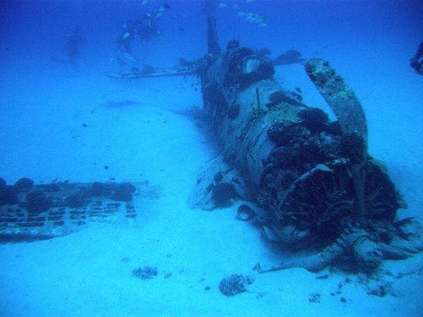 Những ngôi mộ "phi cơ đắm" tuyệt đẹp dưới lòng biển 17