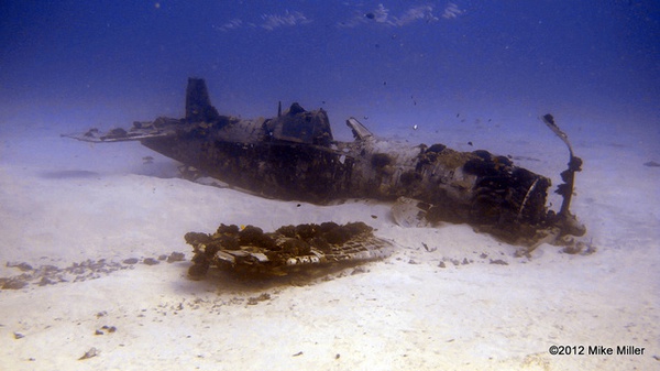 Những ngôi mộ "phi cơ đắm" tuyệt đẹp dưới lòng biển 18