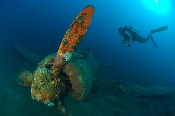 Những ngôi mộ "phi cơ đắm" tuyệt đẹp dưới lòng biển 25