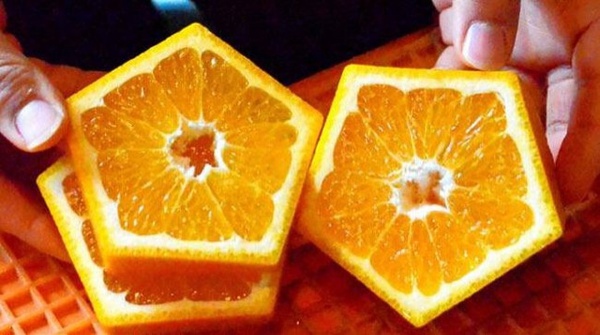 Chiêm ngưỡng những quả cam ngũ giác độc đáo tới từ Nhật Bản 2