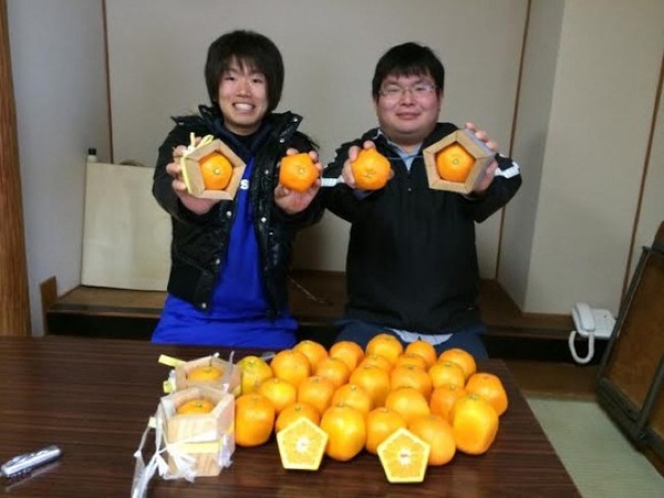 Chiêm ngưỡng những quả cam ngũ giác độc đáo tới từ Nhật Bản 5