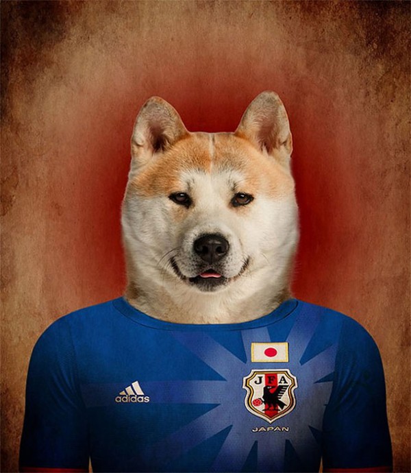 Hài hước với những bức hình loài chó đại diện cho đội tuyển quốc gia 1