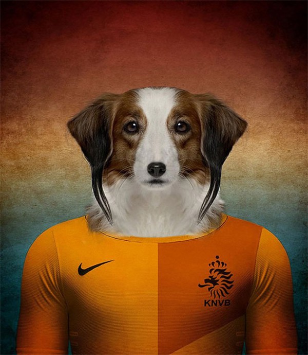 Hài hước với những bức hình loài chó đại diện cho đội tuyển quốc gia 3
