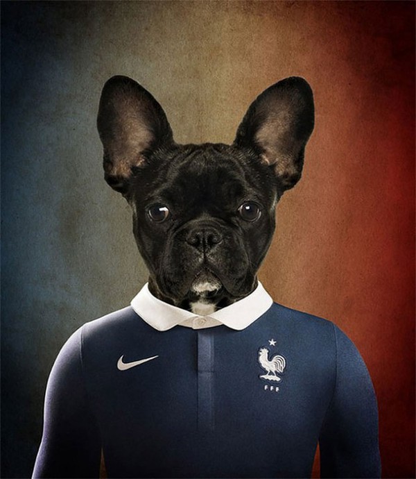 Hài hước với những bức hình loài chó đại diện cho đội tuyển quốc gia 4