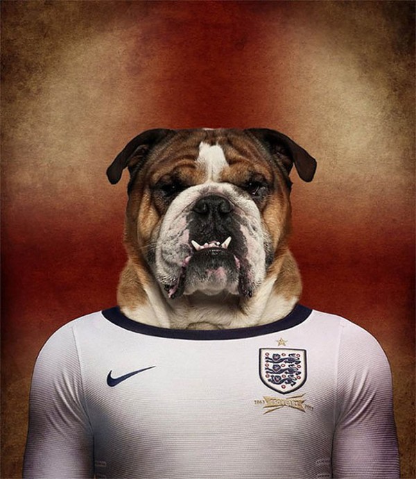 Hài hước với những bức hình loài chó đại diện cho đội tuyển quốc gia 6
