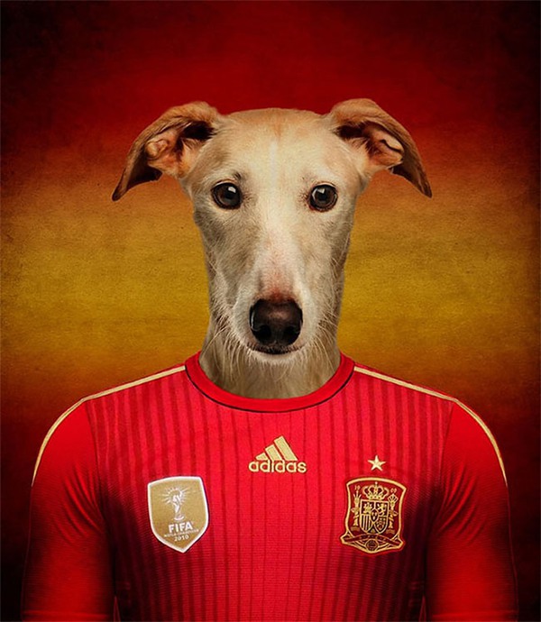 Hài hước với những bức hình loài chó đại diện cho đội tuyển quốc gia 7