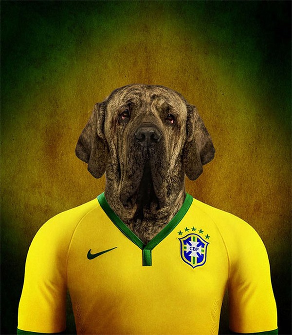 Hài hước với những bức hình loài chó đại diện cho đội tuyển quốc gia 8