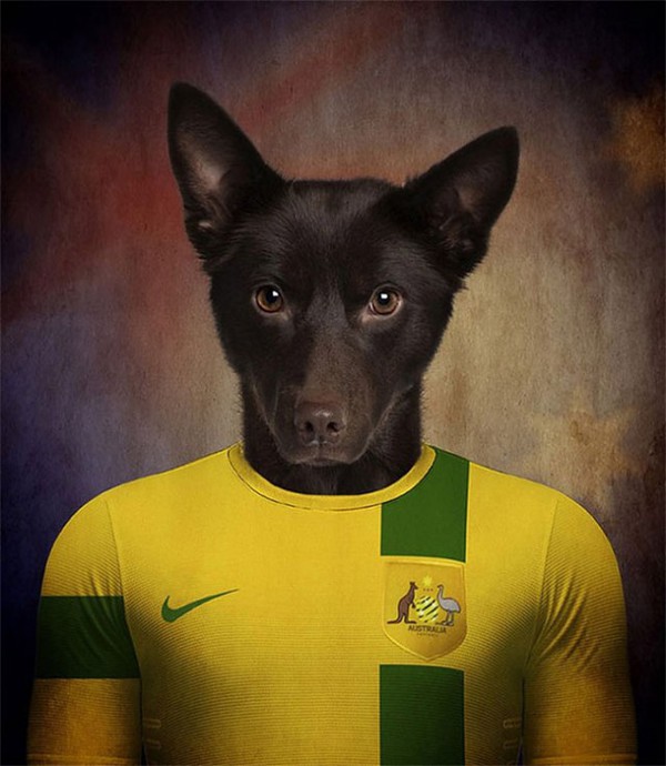 Hài hước với những bức hình loài chó đại diện cho đội tuyển quốc gia 9