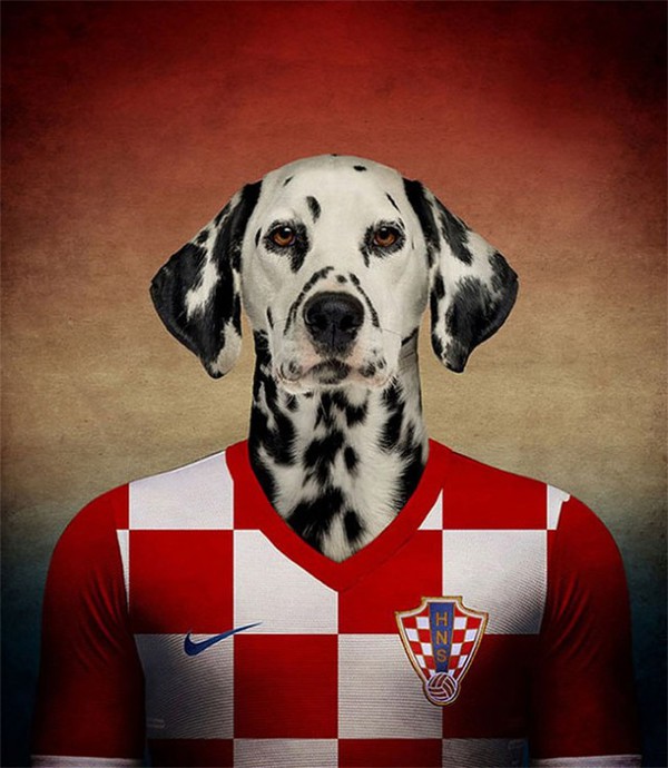 Hài hước với những bức hình loài chó đại diện cho đội tuyển quốc gia 11